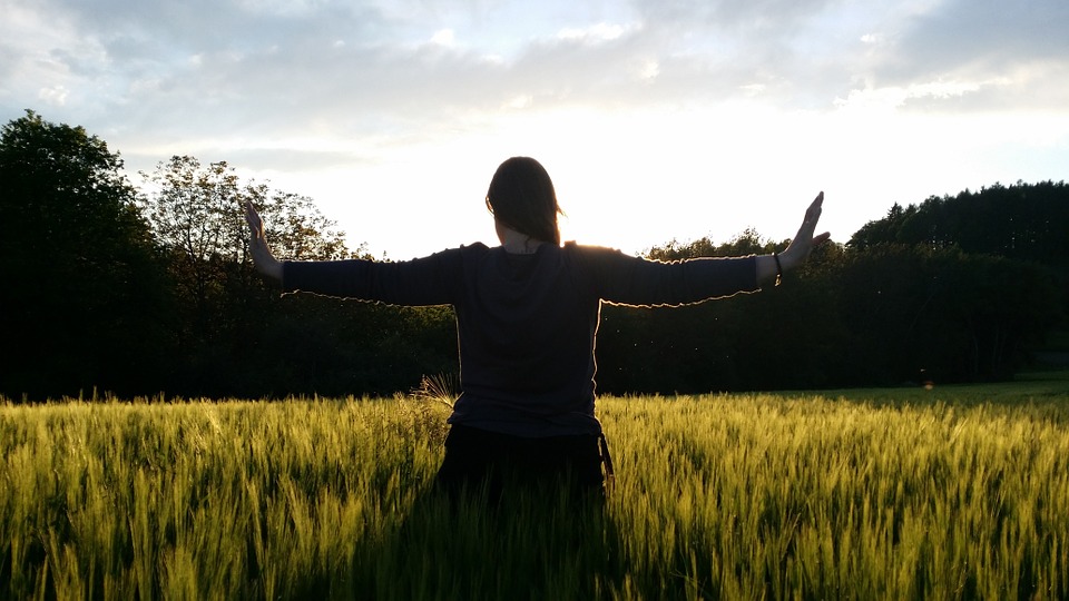 posture de Qi gong dans un paysage à la lumière du soleil