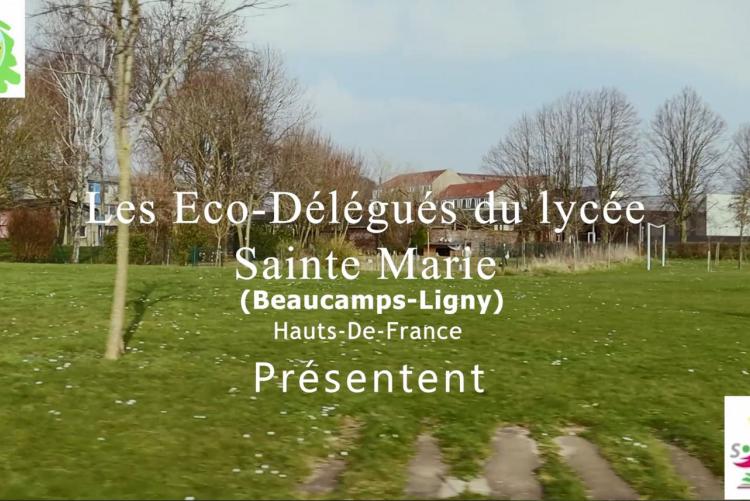 titre de la vidéo : les éco-délégués du lycée Sainte-Marie avec le pré de l'Institution en arrière plan 